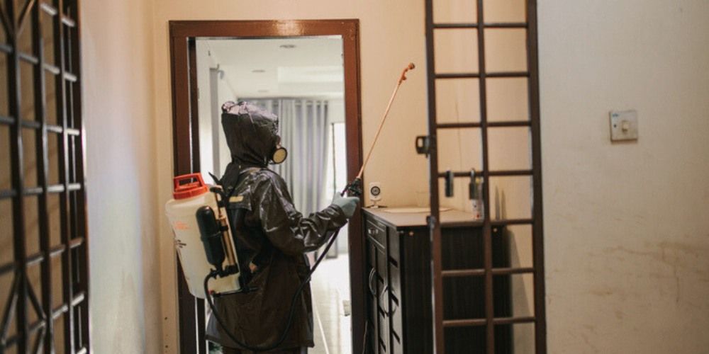 Why Traditional Roach Treatments Fail