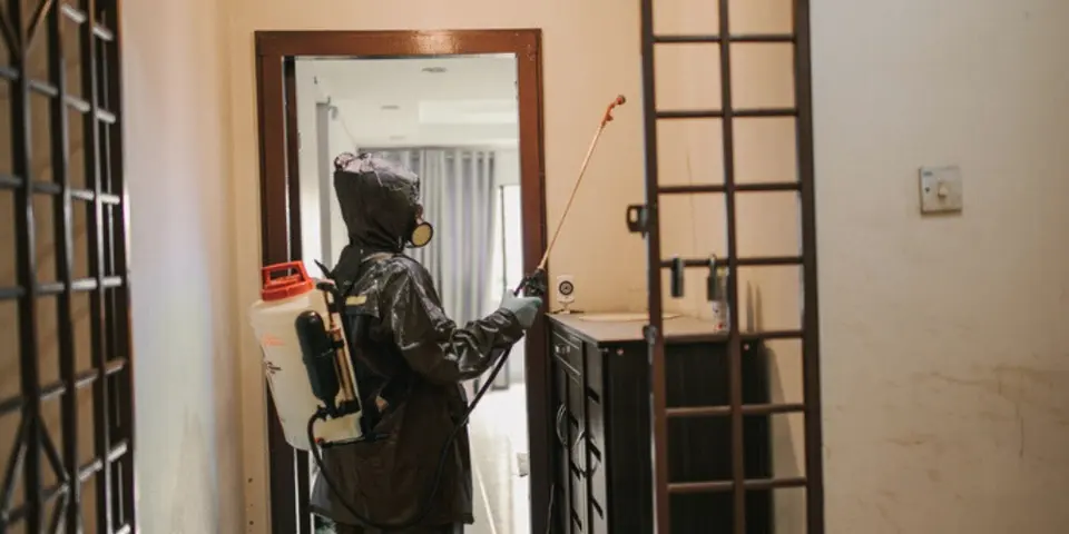 Why Traditional Roach Treatments Fail