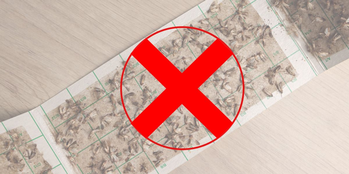 Keep Industrial Spaces Pest-Free