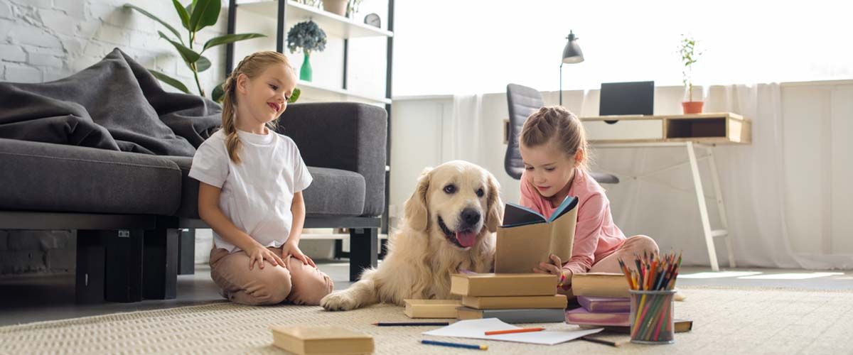 Preparing Your Home for Professional Flea Treatment