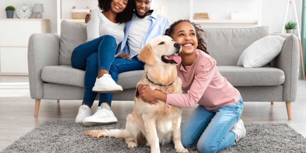 Take Back Your Home from Fleas