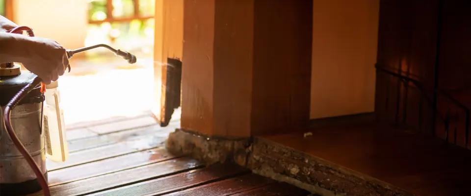 Ant Control Methods