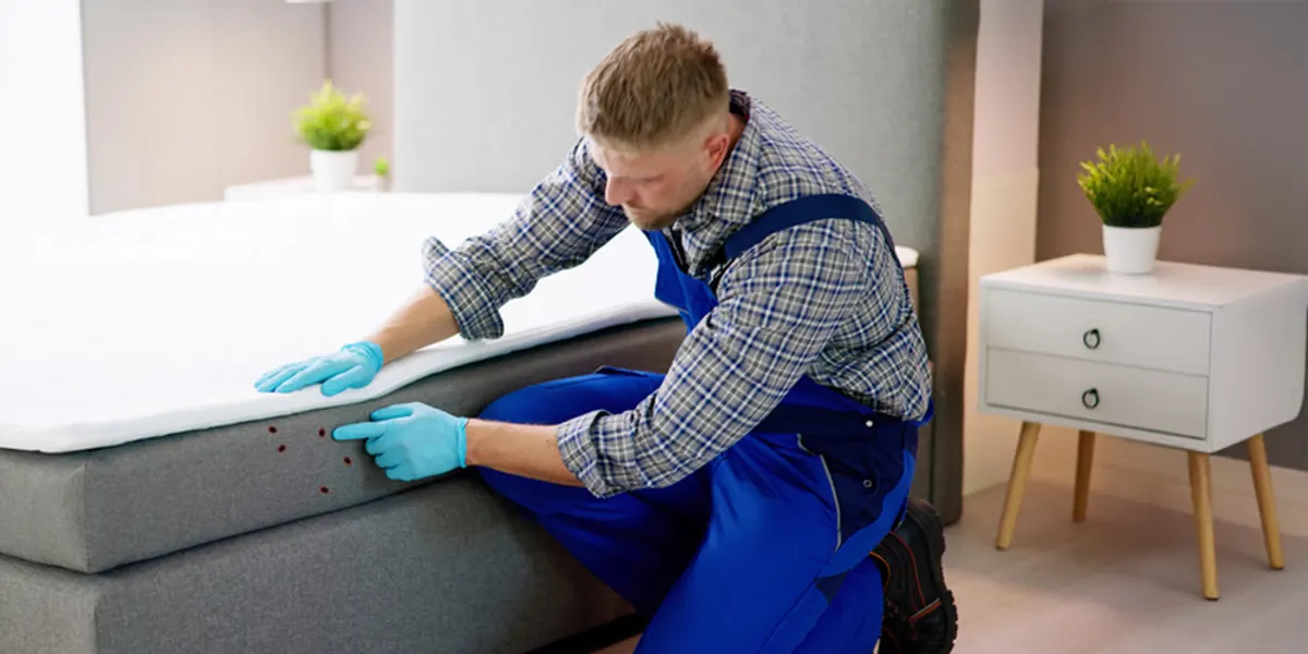 Book Your Bed Bug Inspection Today