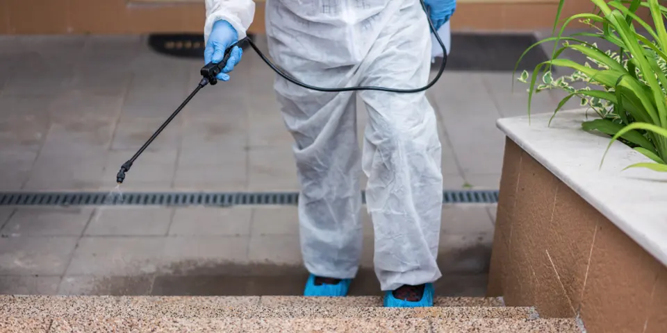 4. Meeting Health and Safety Standards