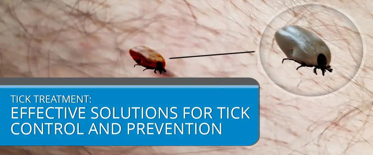 Tick Treatment Effective Solutions for Tick Control and Prevention