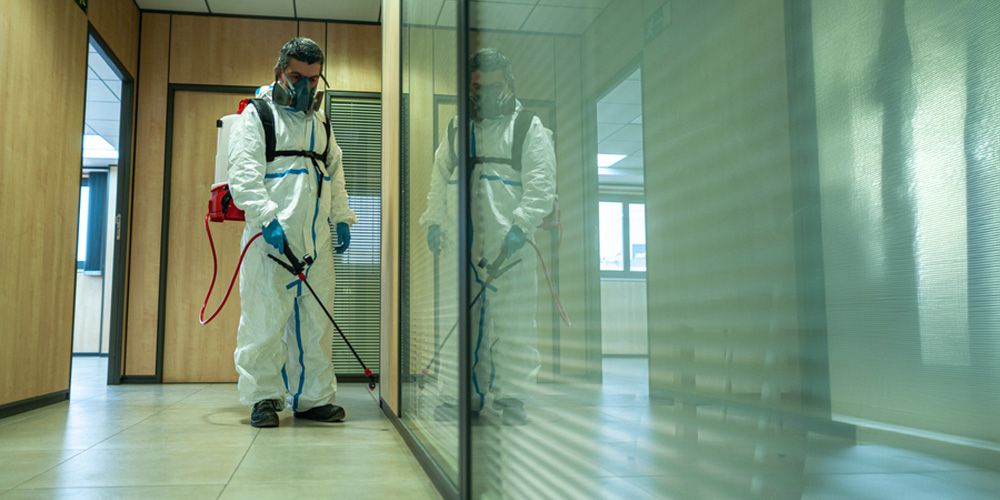 Stay Safe and Proactive