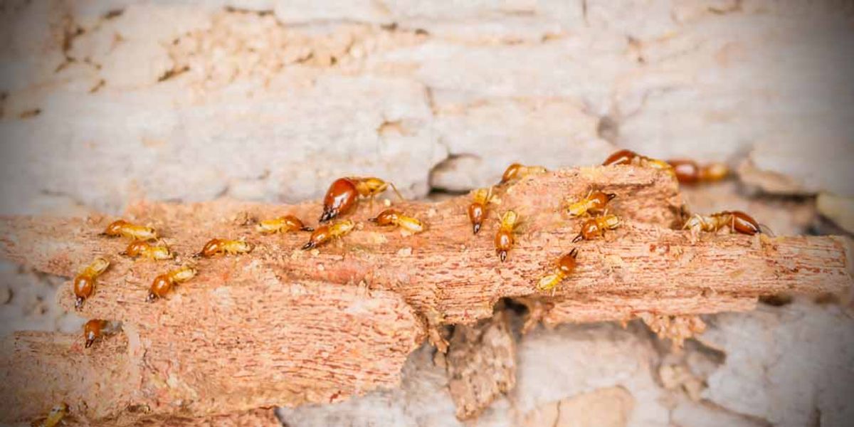 The Science Behind Heat Treatment