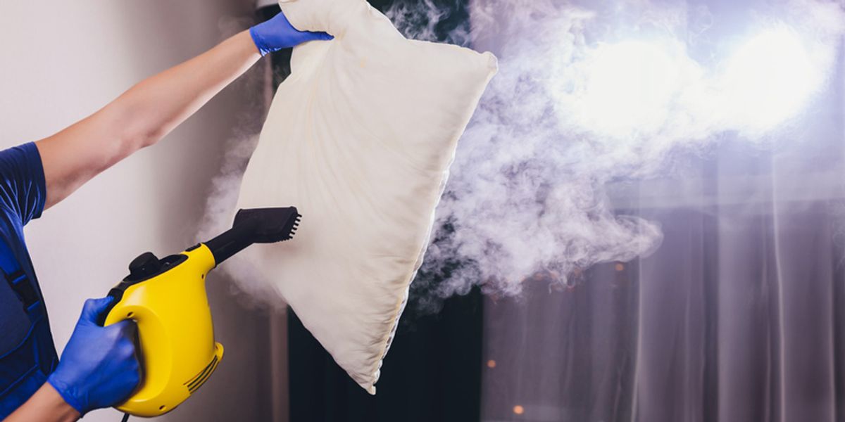 Steaming and Heat Treatment - Bed Bug Control