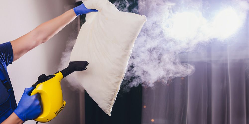 Steaming and Heat Treatment - Bed Bug Control
