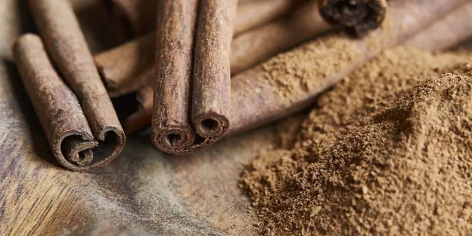 Natural Ant Repellents and Their Uses