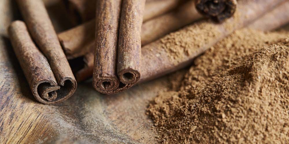 Natural Ant Repellents and Their Uses