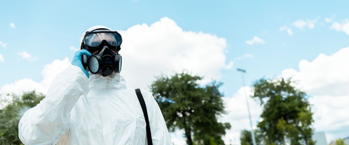 Choosing Chemical-Free Pest Control Solutions