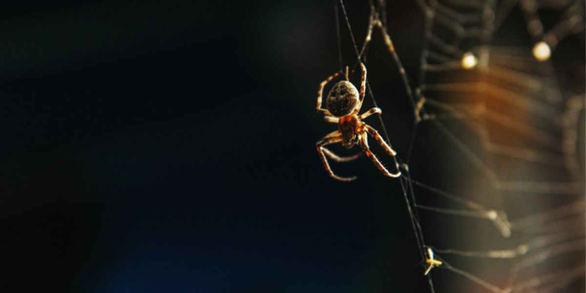 Customized Treatment Plans- The Professional Approach