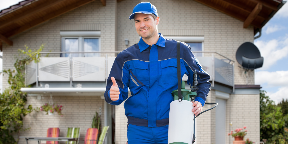 5. Schedule a Professional Pest Control Visit Before Hosting