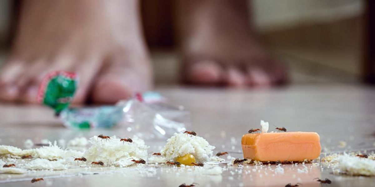 Professional Reinforcements- Knowing When to Call In the Experts