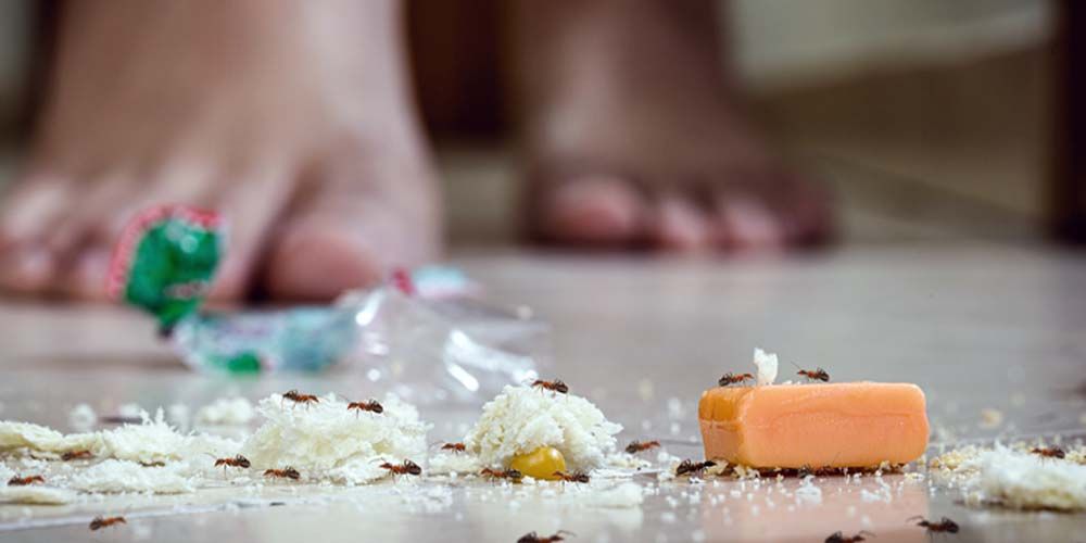 Professional Reinforcements- Knowing When to Call In the Experts