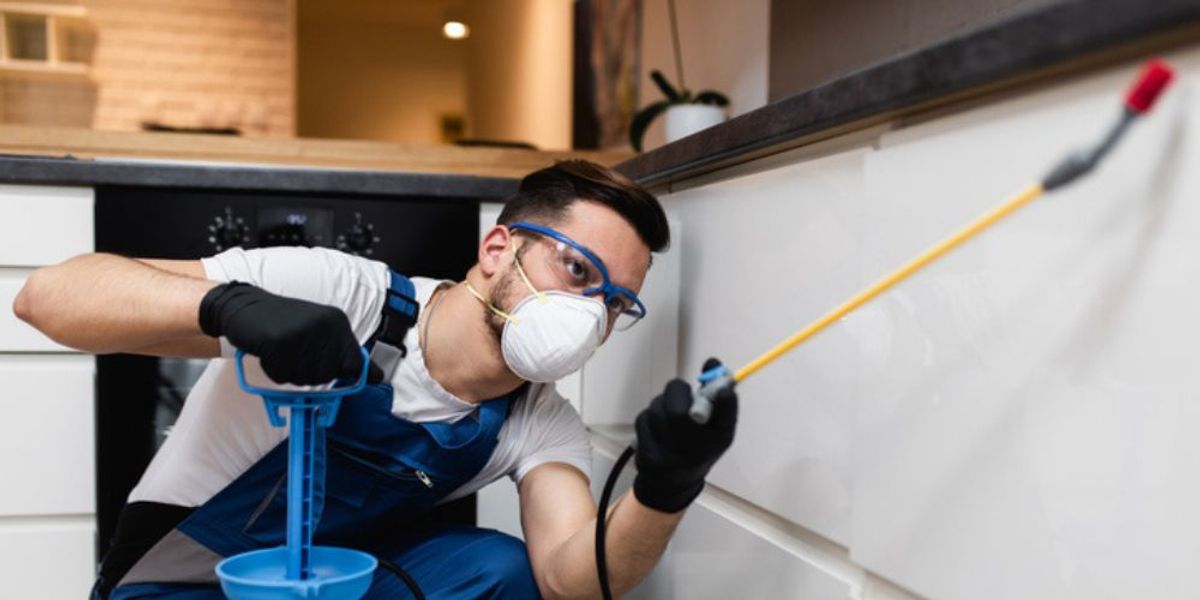 Why Professional Residential Pest Control Works