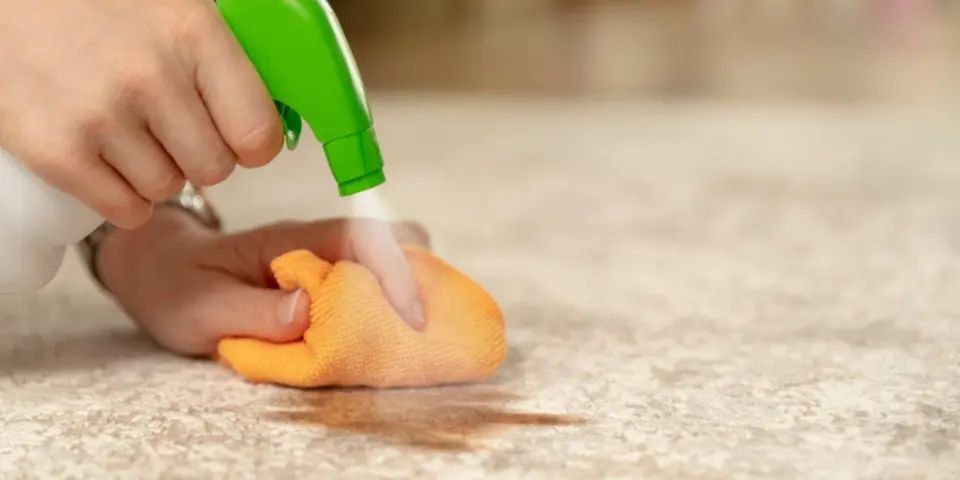 Where Do Mites Hide