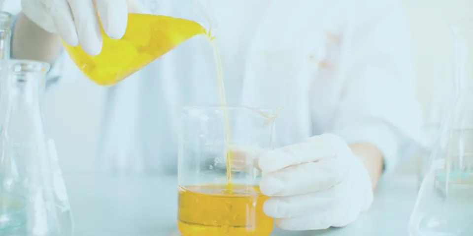What Are Chemical Flee Treatments?