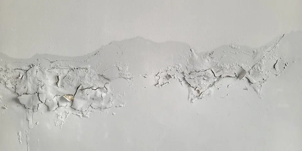 Sealing Cracks and Crevices - Bed Bug Control