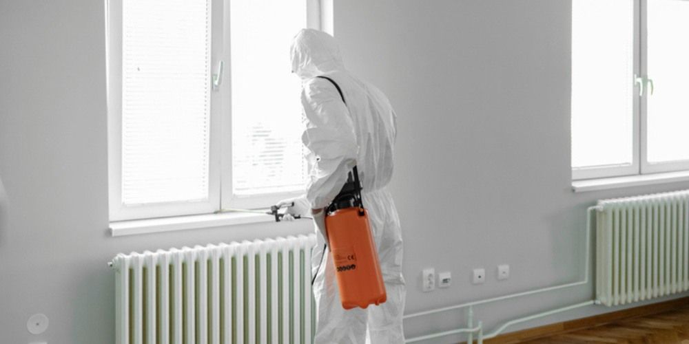 Silverfish Control Service