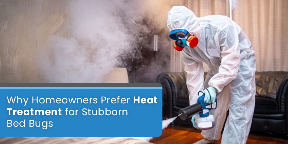 Why Homeowners Prefer Heat Treatment for Stubborn Bed Bugs