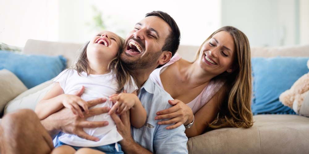 Spider Banishment Action Plan!