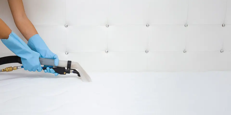 Types of Conventional Bed Bug Treatments