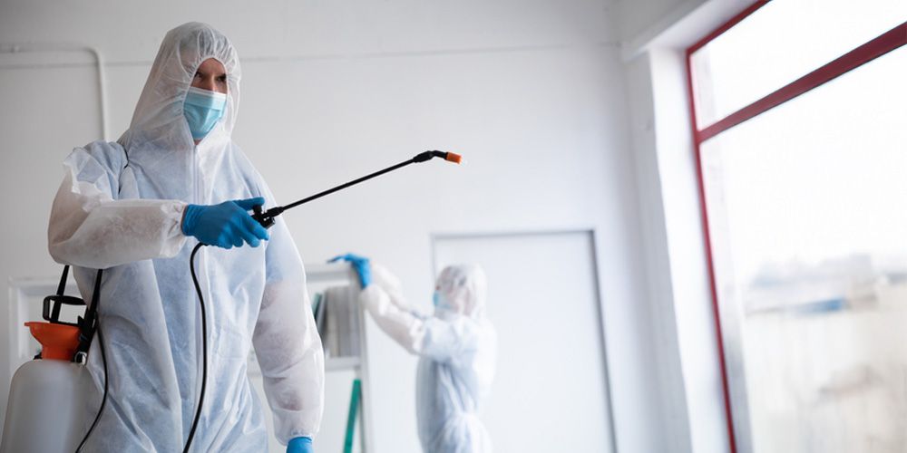 Why Professional Same-Day Pest Control is Superior