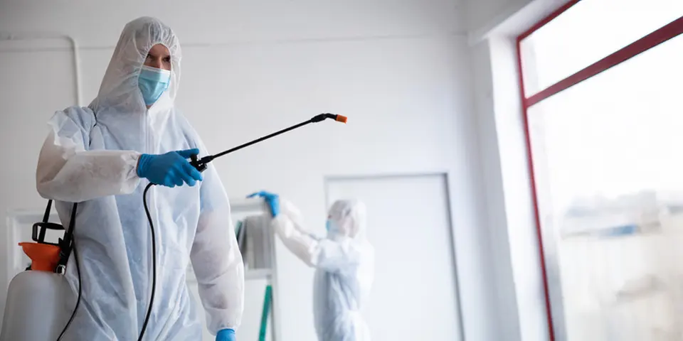 Why Professional Same-Day Pest Control is Superior