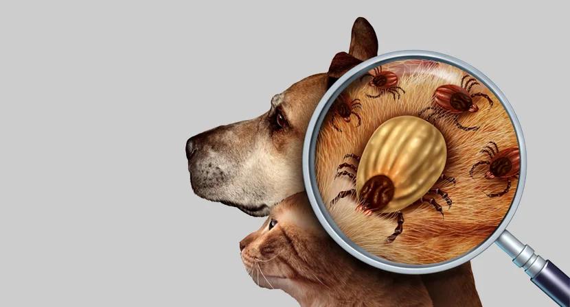 HEAT TECH IS HERE FOR YOU!