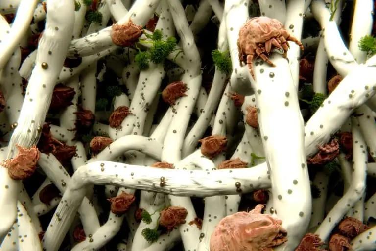 HEAT TECH IS HERE FOR YOU!