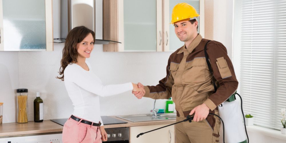 Maintaining Long-Term Ant Control