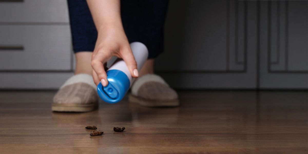 5. How Can You Stop Big Roaches Effectively?