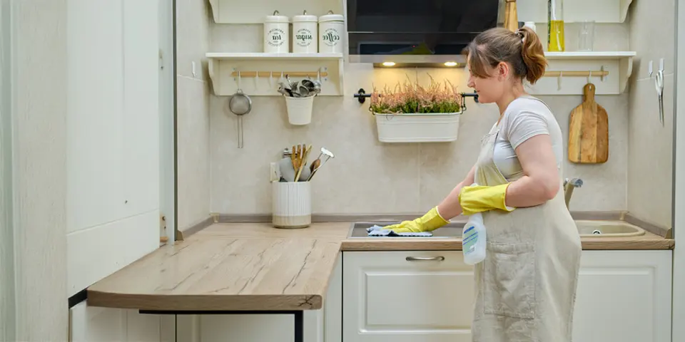 6. How Can You Prevent Big Roaches From Returning?