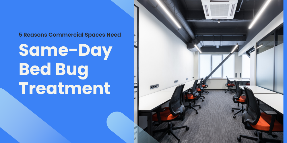 Same-Day Bed Bug Treatment
