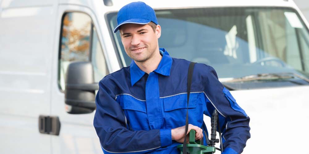 Professional Strategies for Silverfish Control- More than Just Pest Control