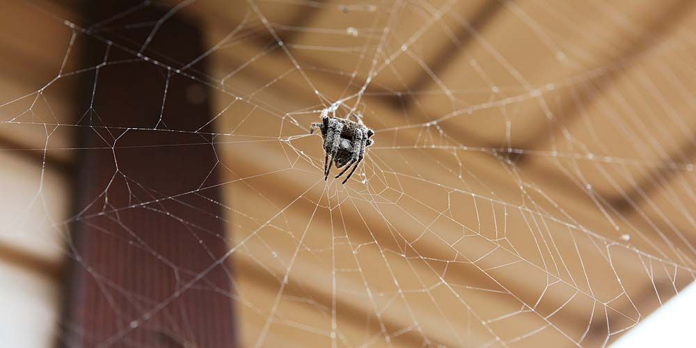 Strategy 10- Educating Homeowners