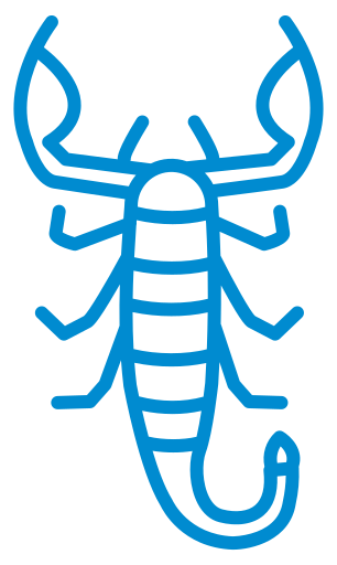 Scorpion icon