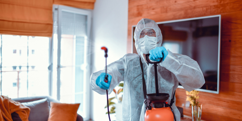 3. Chemical Treatments Don’t Work as Well in Winter