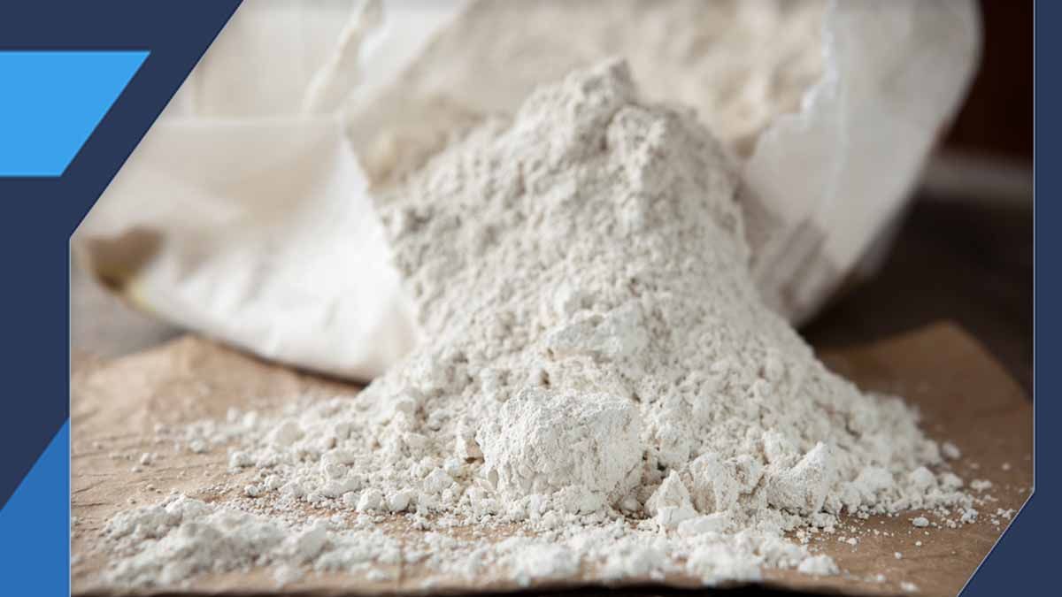 2. Diatomaceous Earth