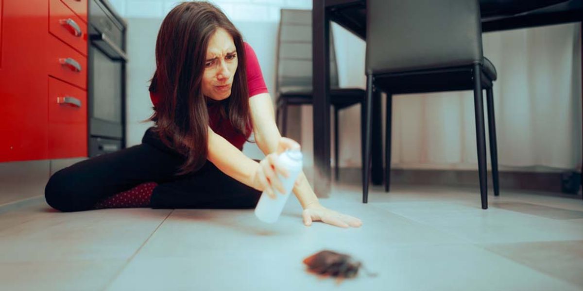 Eco-Conscious Approach to Pest Control