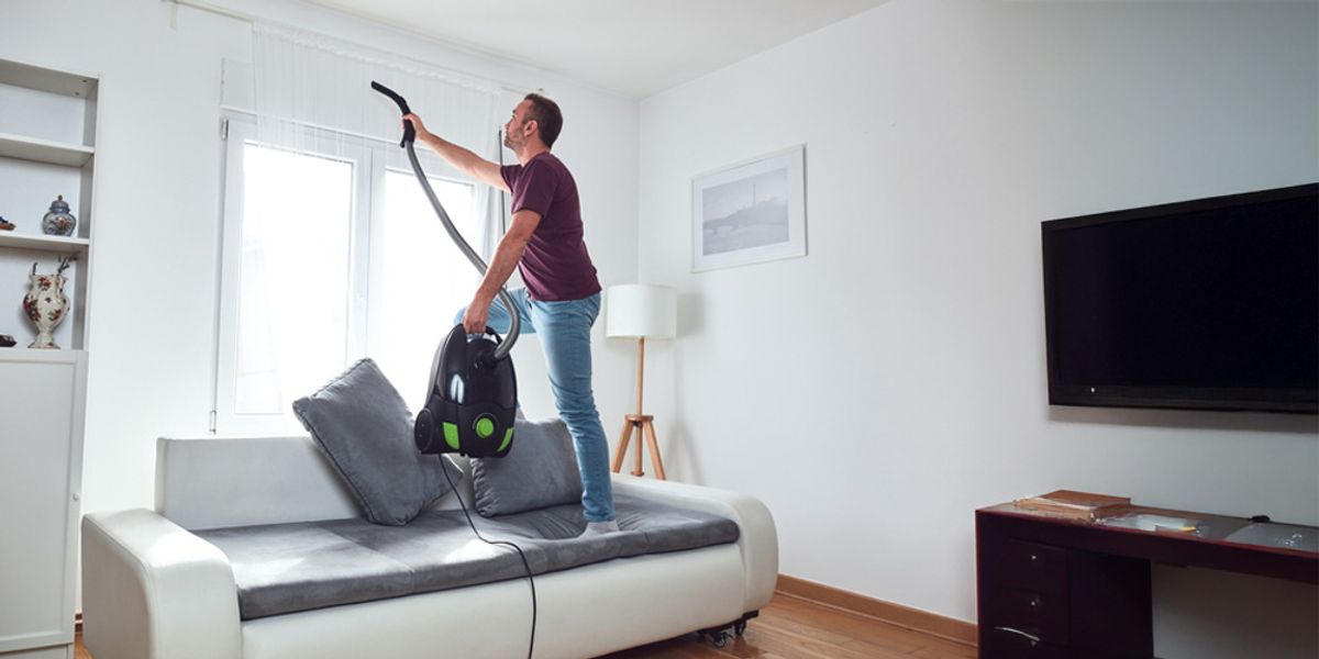 DIY Spider Control Techniques That Work