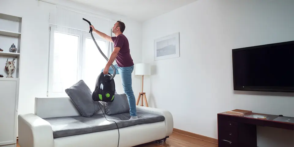 DIY Spider Control Techniques That Work