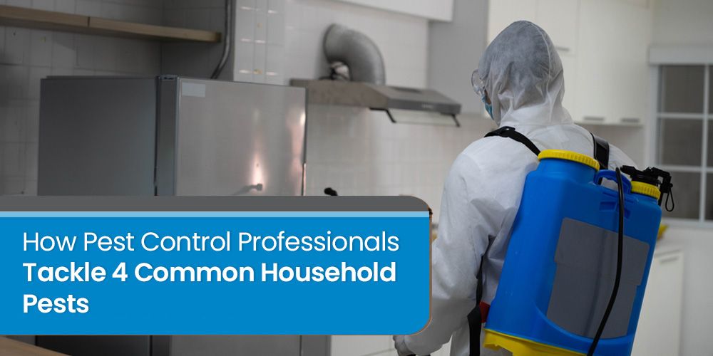 How Pest Control Professionals Tackle 4 Common Household Pests
