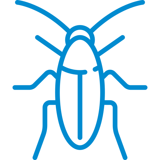Cockroach icon