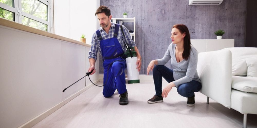 Long-Term Strategies to Prevent Bed Bug Spread