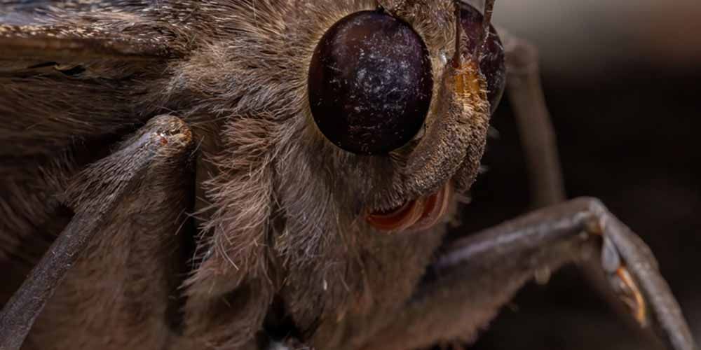 Professional Treatment Methods