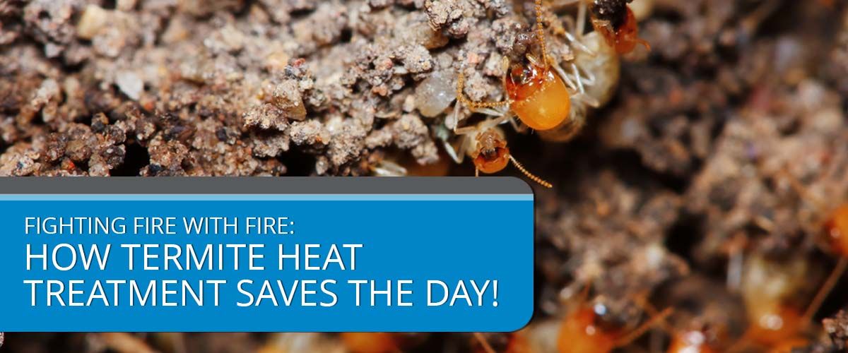 Fighting Fire with Fire How Termite Heat Treatment Saves the Day!