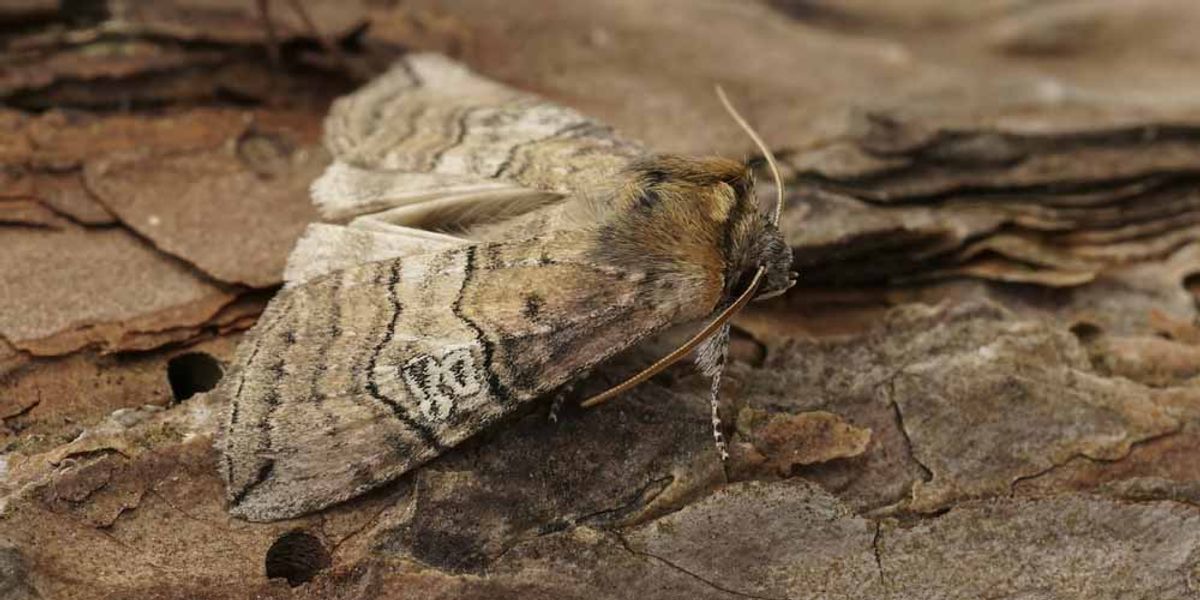 Tailored Solutions for Different Environments